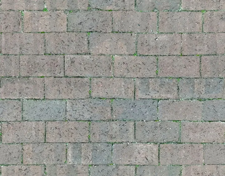 Weathered pavers with small patches of moss in the joints