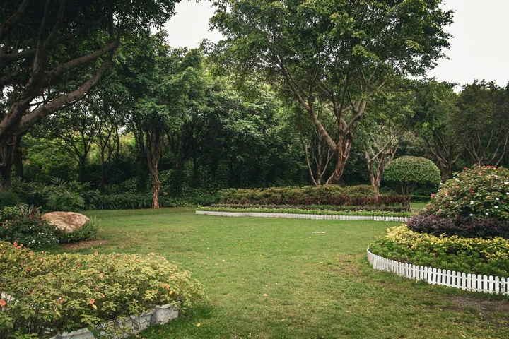 A lawn surrounded by planted garden borders