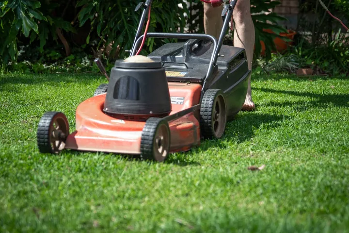 A mower on a green lawn
