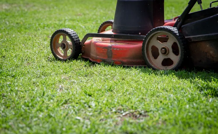 Mower wheels and freshly cut grass